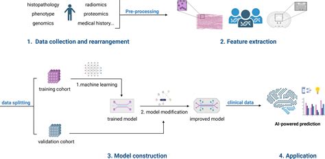 APOL6 predicts immunotherapy efficacy of bladder cancer by .